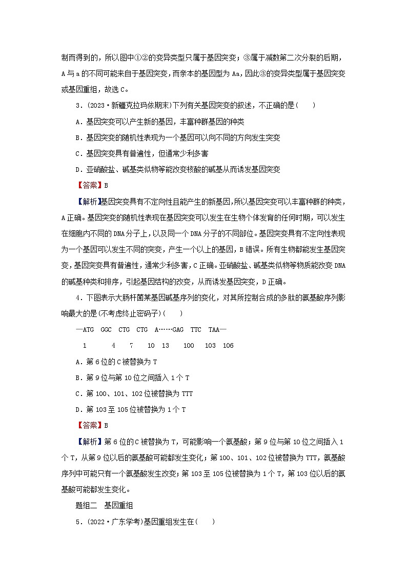 2024春高中生物第5章基因突变及其他变异1基因突变和基因重组课后提能训练（人教版必修2）02