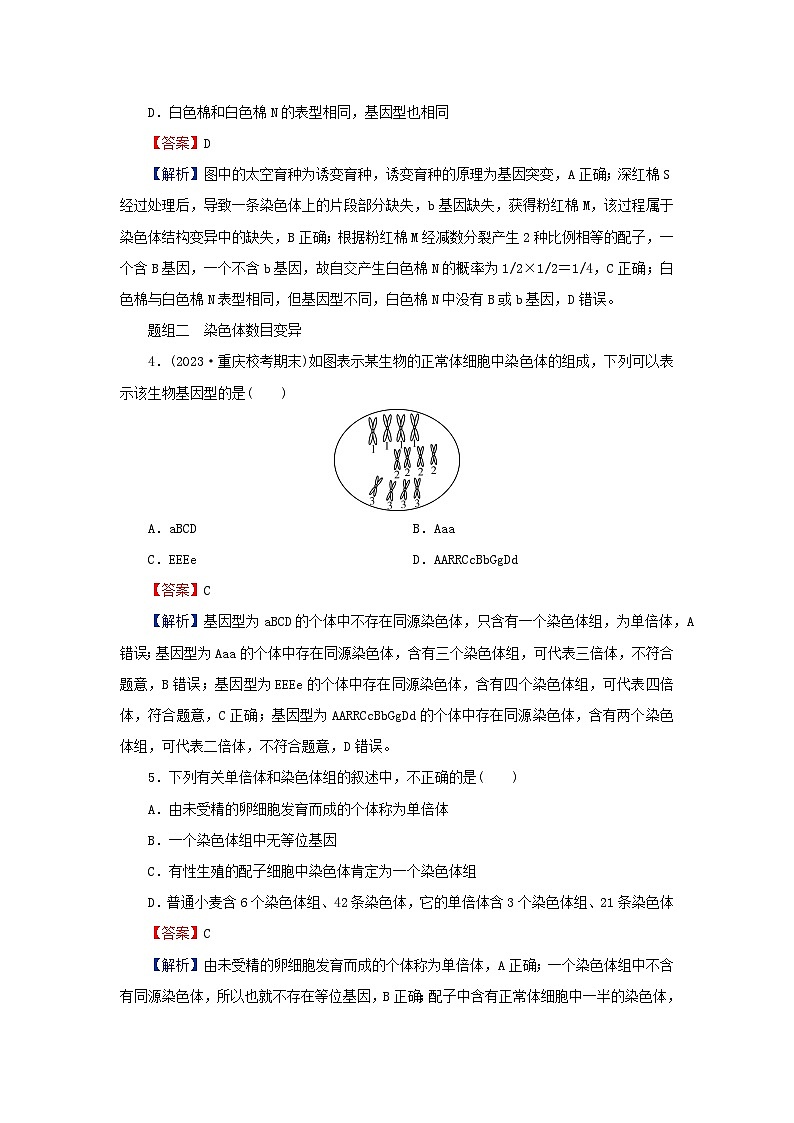 2024春高中生物第5章基因突变及其他变异2染色体变异课后提能训练（人教版必修2）第2页