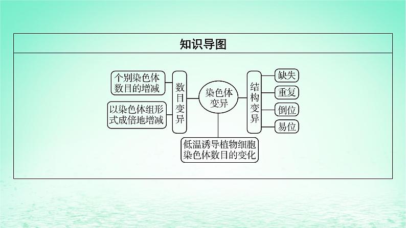 2024春高中生物第5章基因突变及其他变异2染色体变异课件（人教版必修2）第3页