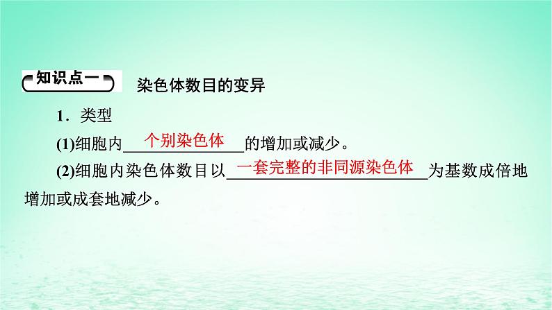 2024春高中生物第5章基因突变及其他变异2染色体变异课件（人教版必修2）第5页