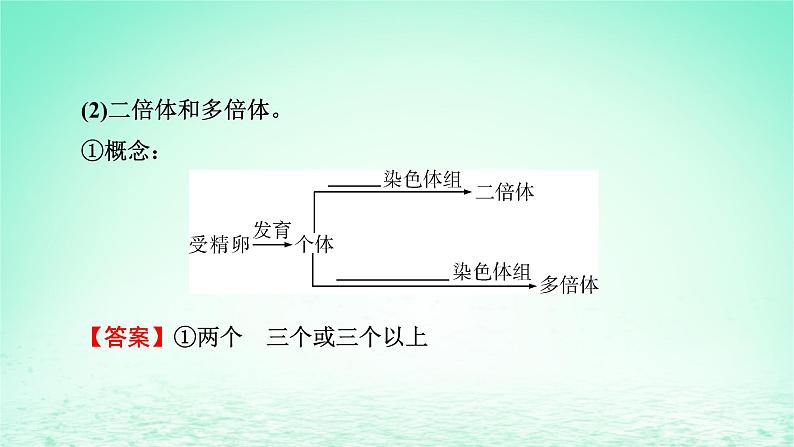 2024春高中生物第5章基因突变及其他变异2染色体变异课件（人教版必修2）第7页