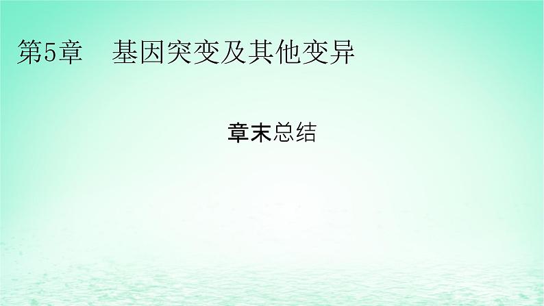 2024春高中生物第5章基因突变及其他变异章末总结课件（人教版必修2）01