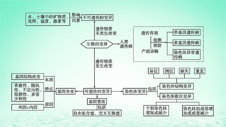 2024春高中生物第5章基因突变及其他变异章末总结课件（人教版必修2）03