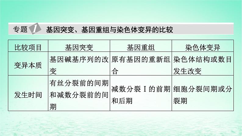 2024春高中生物第5章基因突变及其他变异章末总结课件（人教版必修2）05