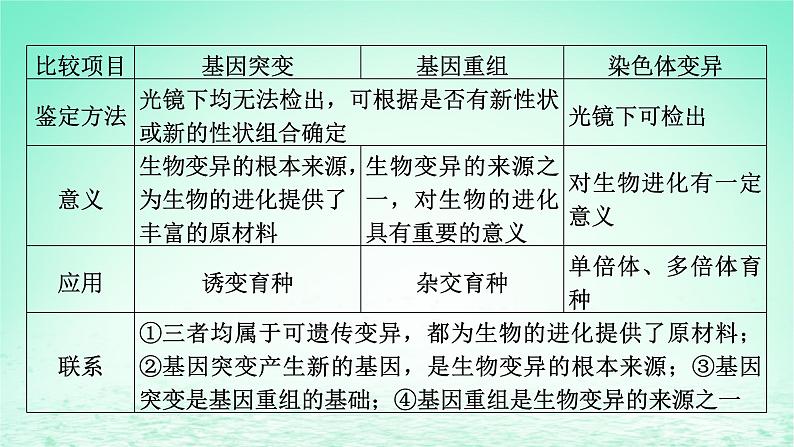 2024春高中生物第5章基因突变及其他变异章末总结课件（人教版必修2）07