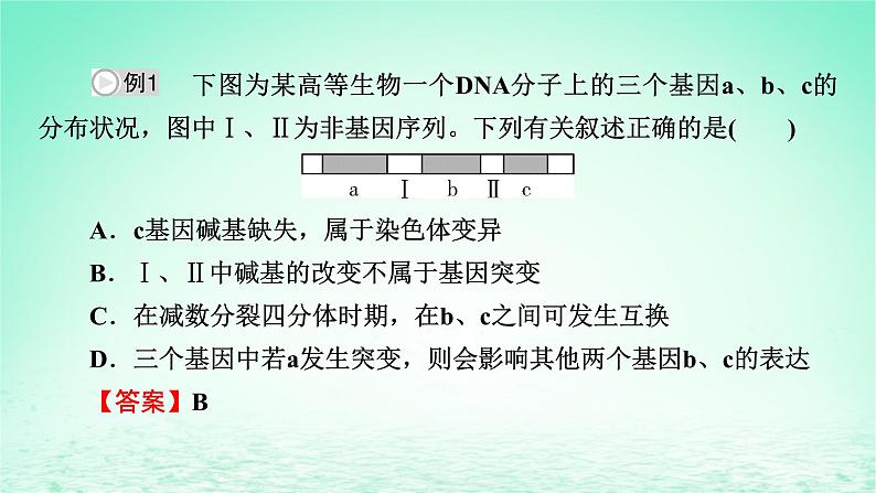 2024春高中生物第5章基因突变及其他变异章末总结课件（人教版必修2）08