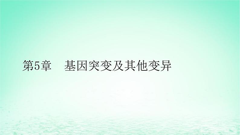 2024春高中生物第5章基因突变及其他变异1基因突变和基因重组课件（人教版必修2）第1页