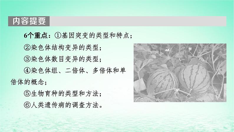 2024春高中生物第5章基因突变及其他变异1基因突变和基因重组课件（人教版必修2）第4页