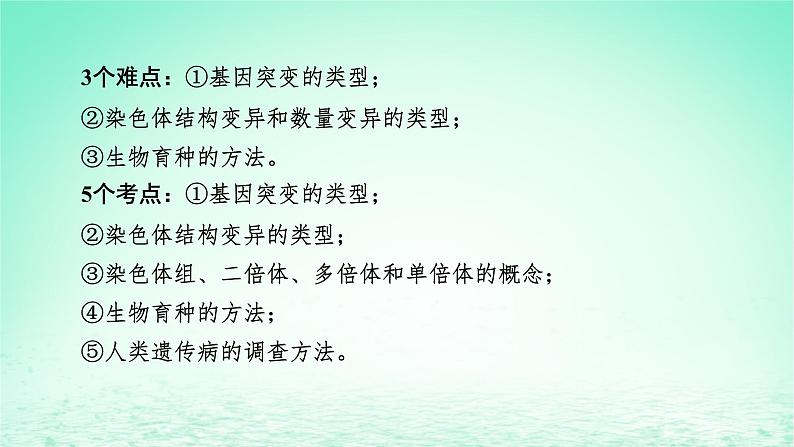 2024春高中生物第5章基因突变及其他变异1基因突变和基因重组课件（人教版必修2）第5页