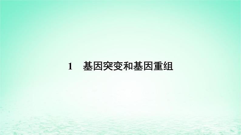 2024春高中生物第5章基因突变及其他变异1基因突变和基因重组课件（人教版必修2）第6页