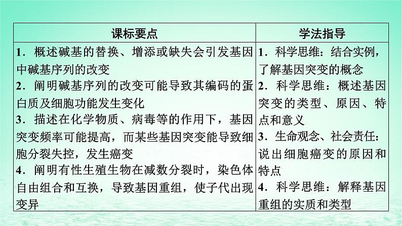 2024春高中生物第5章基因突变及其他变异1基因突变和基因重组课件（人教版必修2）第7页