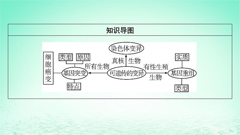 2024春高中生物第5章基因突变及其他变异1基因突变和基因重组课件（人教版必修2）第8页