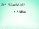 2024春高中生物第5章基因突变及其他变异3人类遗传病课件（人教版必修2）