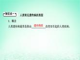 2024春高中生物第5章基因突变及其他变异3人类遗传病课件（人教版必修2）