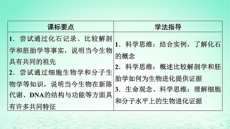 2024春高中生物第6章生物的进化1生物有共同祖先的证据课件（人教版必修2）第7页