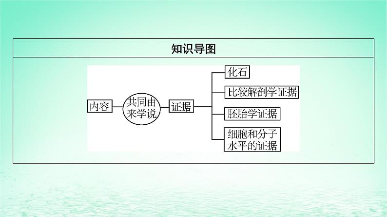 2024春高中生物第6章生物的进化1生物有共同祖先的证据课件（人教版必修2）第8页