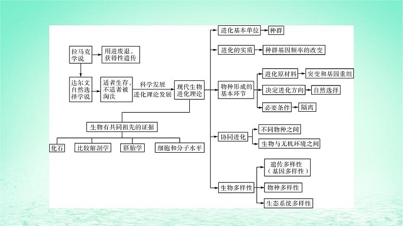 2024春高中生物第6章生物的进化章末总结课件（人教版必修2）03