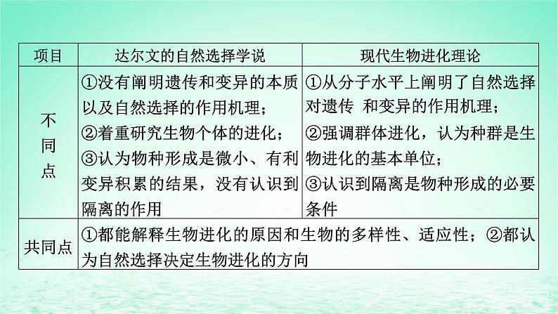 2024春高中生物第6章生物的进化章末总结课件（人教版必修2）06