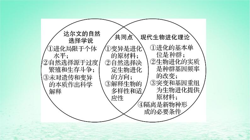 2024春高中生物第6章生物的进化章末总结课件（人教版必修2）07