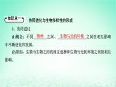 2024春高中生物第6章生物的进化4协同进化与生物多样性的形成课件（人教版必修2）