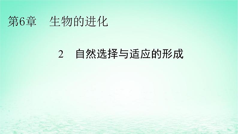 2024春高中生物第6章生物的进化2自然选择与适应的形成课件（人教版必修2）01