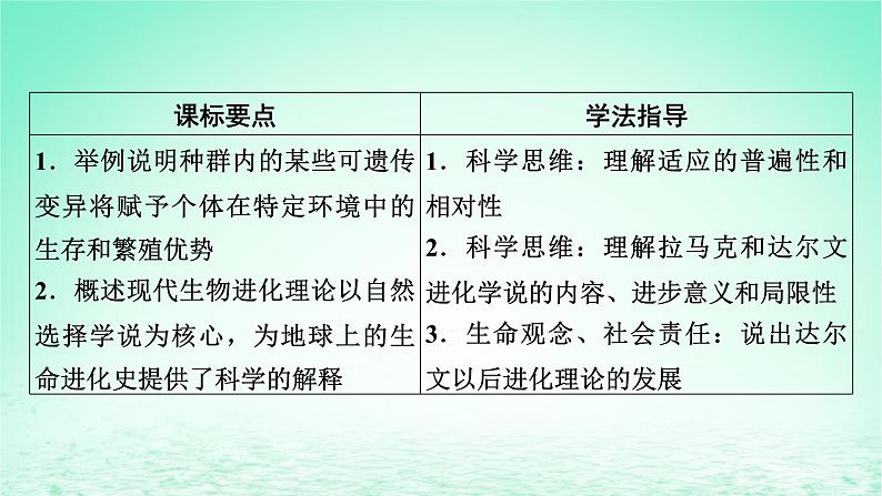 2024春高中生物第6章生物的进化2自然选择与适应的形成课件（人教版必修2）02