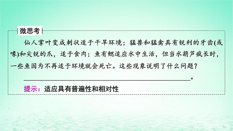 2024春高中生物第6章生物的进化2自然选择与适应的形成课件（人教版必修2）06