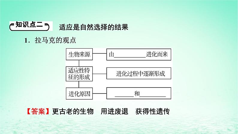 2024春高中生物第6章生物的进化2自然选择与适应的形成课件（人教版必修2）07