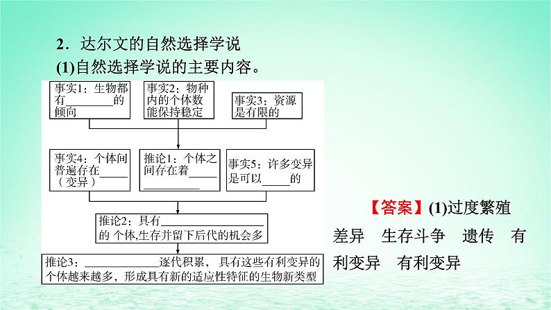 2024春高中生物第6章生物的进化2自然选择与适应的形成课件（人教版必修2）08