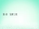 2024春高中生物第1章发酵工程第1节传统发酵技术的应用课件（人教版选择性必修3）
