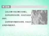 2024春高中生物第1章发酵工程第1节传统发酵技术的应用课件（人教版选择性必修3）