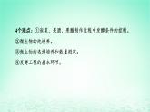 2024春高中生物第1章发酵工程第1节传统发酵技术的应用课件（人教版选择性必修3）