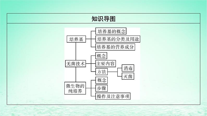 2024春高中生物第1章发酵工程第2节微生物的培养技术及应用一微生物的基本培养技术课件（人教版选择性必修3）03