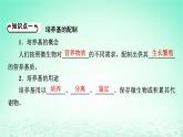 2024春高中生物第1章发酵工程第2节微生物的培养技术及应用一微生物的基本培养技术课件（人教版选择性必修3）