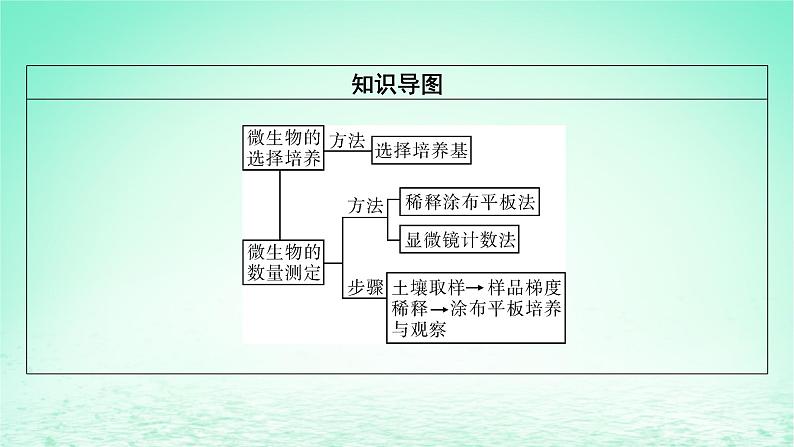 2024春高中生物第1章发酵工程第2节微生物的培养技术及应用二微生物的选择培养和计数课件（人教版选择性必修3）第3页