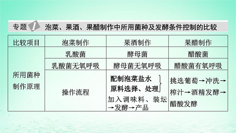 2024春高中生物第1章发酵工程章末总结课件（人教版选择性必修3）第5页