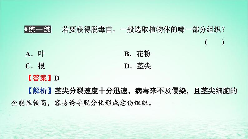 2024春高中生物第2章细胞工程第1节植物细胞工程二植物细胞工程的应用课件（人教版选择性必修3）第8页