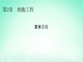2024春高中生物第2章細胞工程章末總結課件（人教版選擇性必修3）