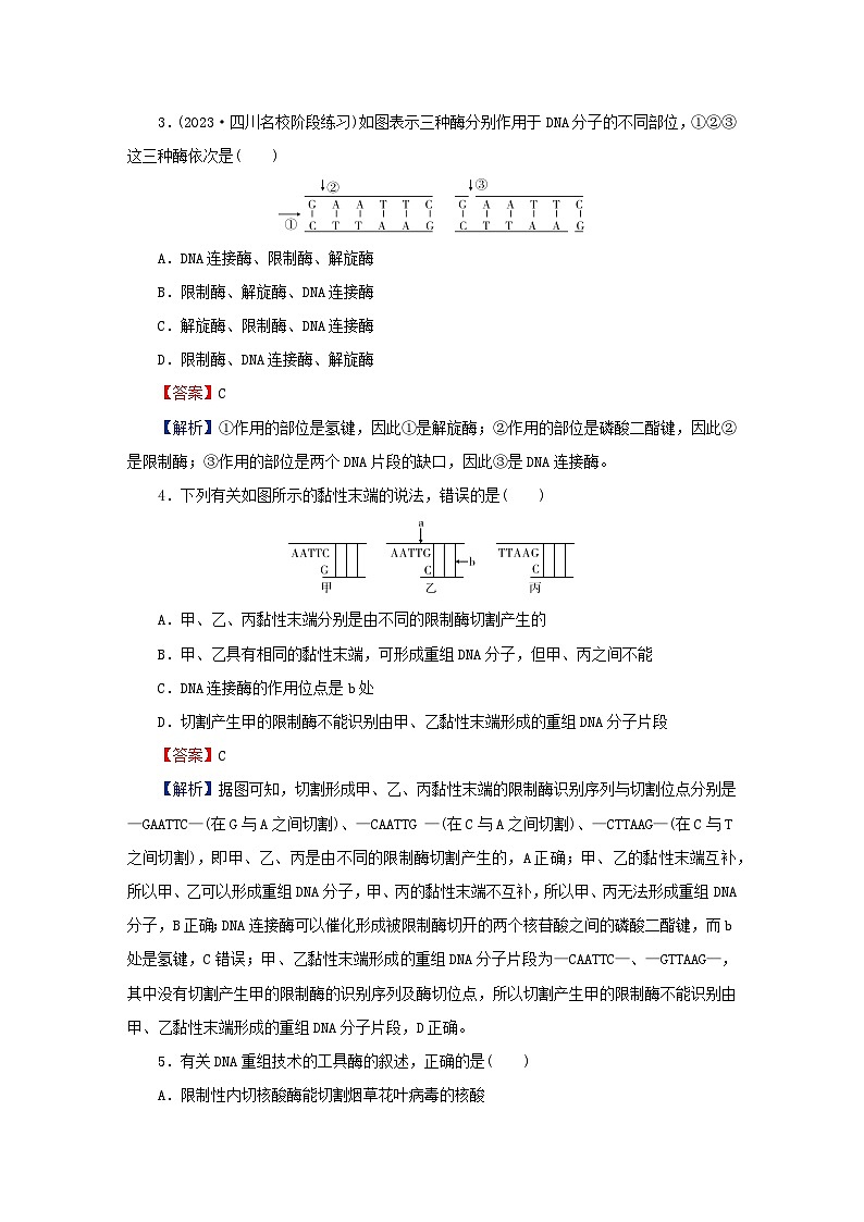 2024春高中生物第3章基因工程第1节重组DNA技术的基本工具课后提能训练（人教版选择性必修3）第2页
