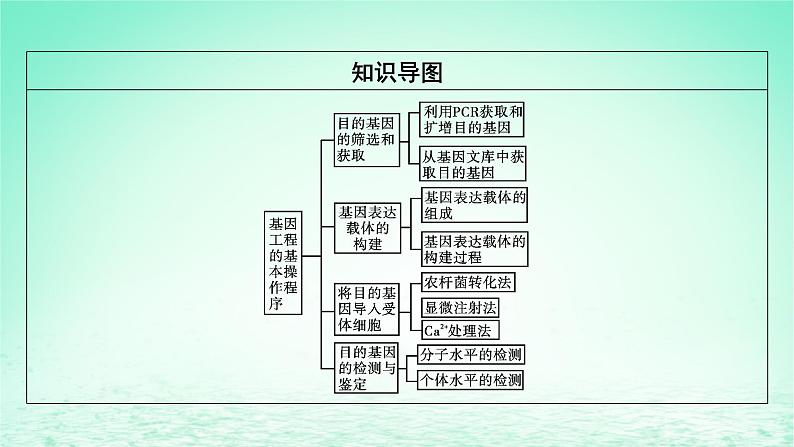 2024春高中生物第3章基因工程第2节基因工程的基本操作程序课件（人教版选择性必修3）第3页