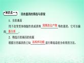 2024春高中生物第3章基因工程第2节基因工程的基本操作程序课件（人教版选择性必修3）