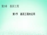 2024春高中生物第3章基因工程第3节基因工程的应用课件（人教版选择性必修3）