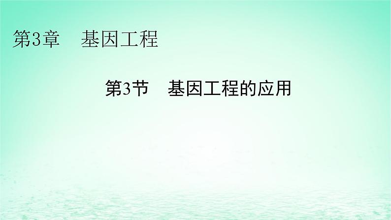 2024春高中生物第3章基因工程第3节基因工程的应用课件（人教版选择性必修3）01