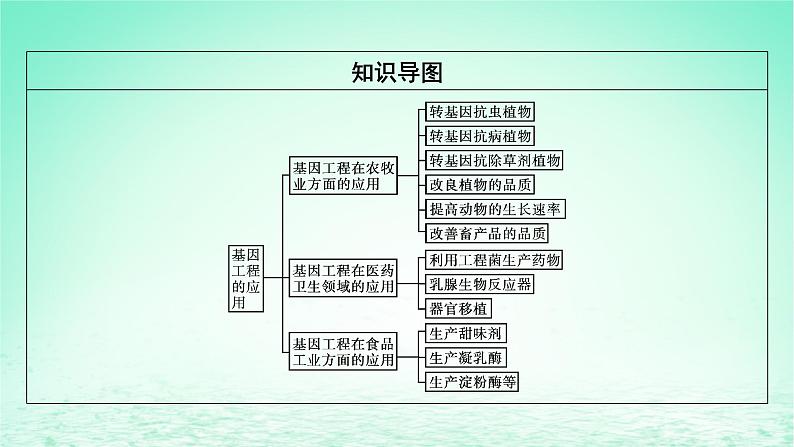 2024春高中生物第3章基因工程第3节基因工程的应用课件（人教版选择性必修3）03