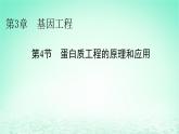 2024春高中生物第3章基因工程第4节蛋白质工程的原理和应用课件（人教版选择性必修3）
