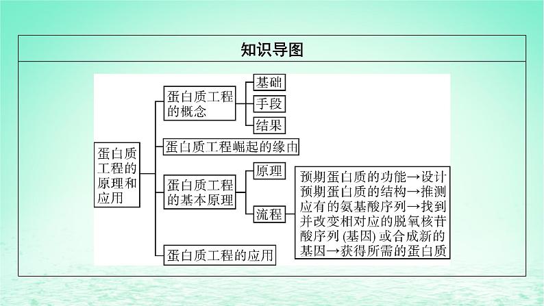 2024春高中生物第3章基因工程第4节蛋白质工程的原理和应用课件（人教版选择性必修3）03