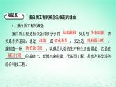 2024春高中生物第3章基因工程第4节蛋白质工程的原理和应用课件（人教版选择性必修3）