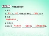 2024春高中生物第2章细胞工程第2节动物细胞工程二动物细胞融合技术与单克鹿体课件（人教版选择性必修3）