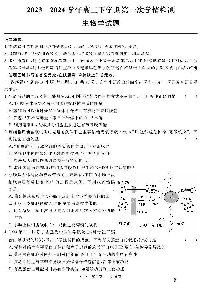 2024高二年级下学期第一次学期诊断联考生物试题-B卷01