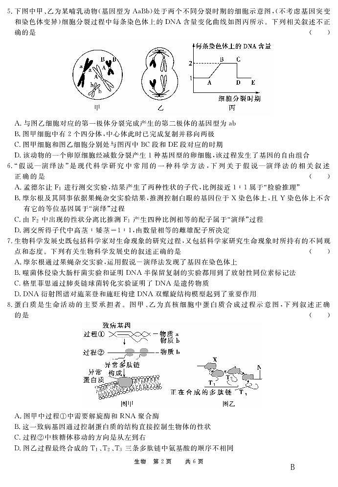 2024高二年级下学期第一次学期诊断联考生物试题-B卷02